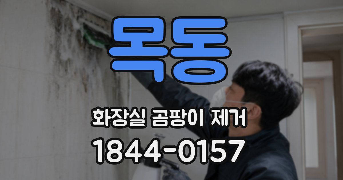 목동 화장실 곰팡이 제거