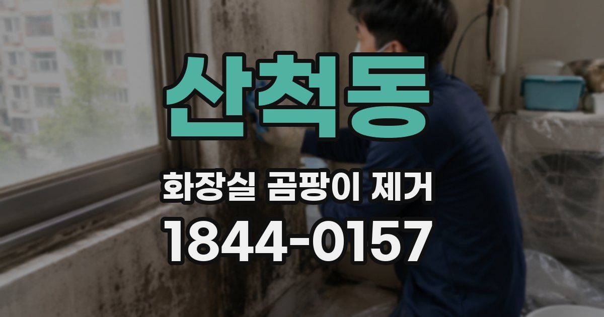 산척동 화장실 곰팡이 제거