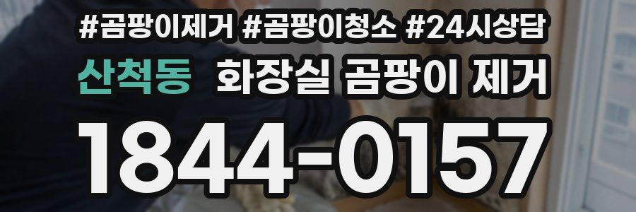 산척동 화장실 곰팡이 제거