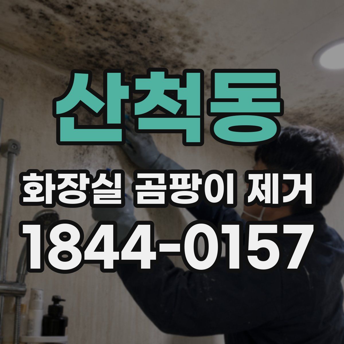 산척동 화장실 곰팡이 제거