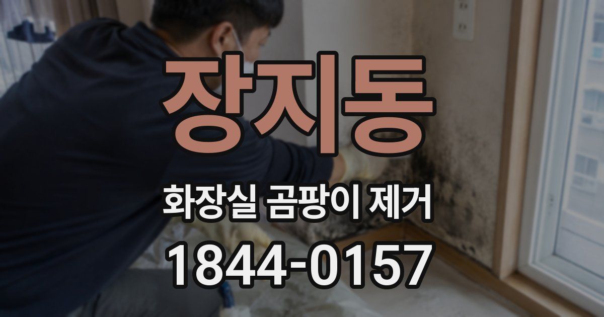 장지동 화장실 곰팡이 제거