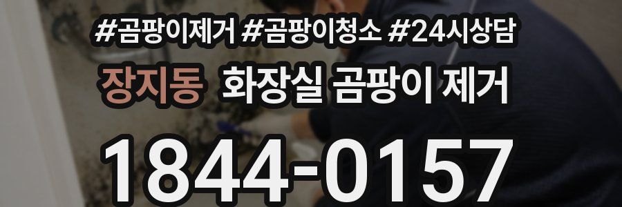 장지동 화장실 곰팡이 제거