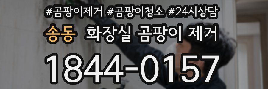 송동 화장실 곰팡이 제거