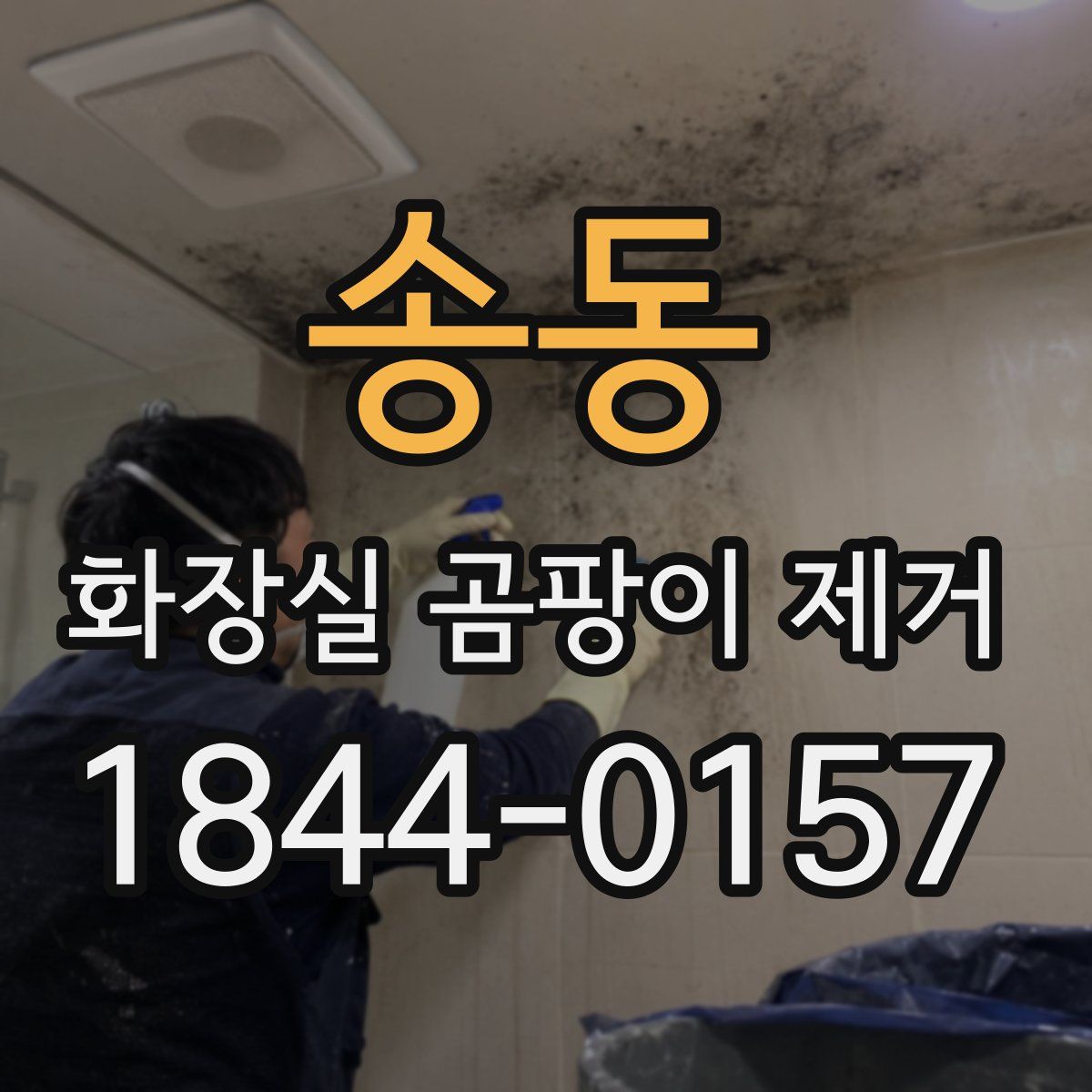 송동 화장실 곰팡이 제거