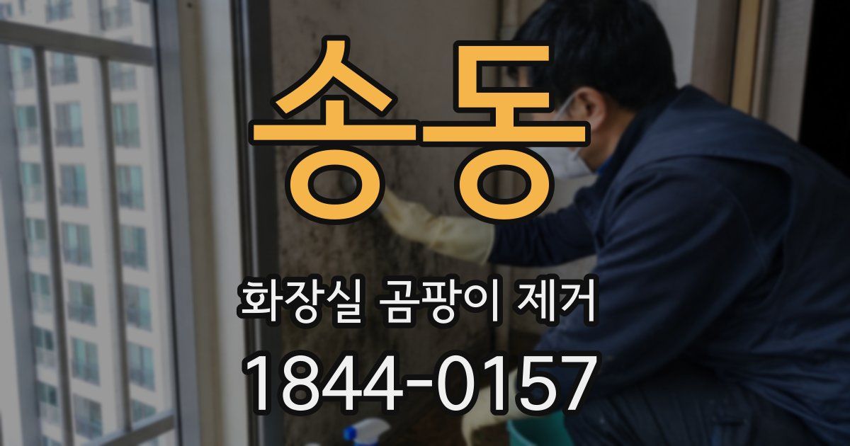 송동 화장실 곰팡이 제거