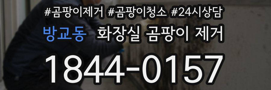 방교동 화장실 곰팡이 제거
