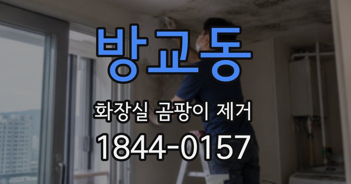 방교동 화장실 곰팡이 제거