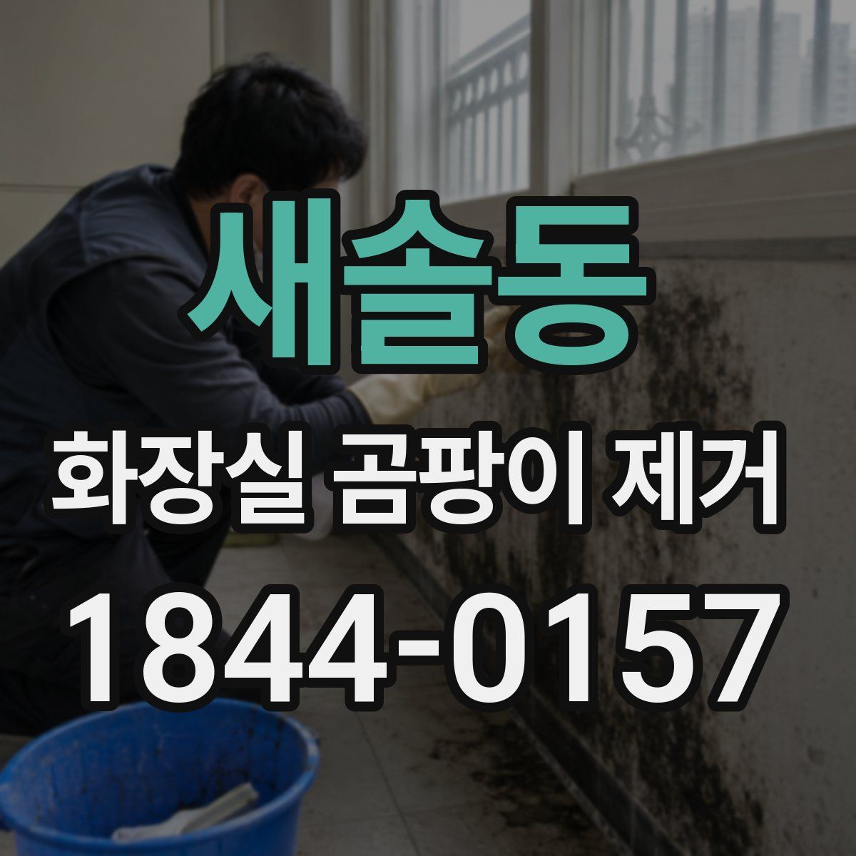 새솔동 화장실 곰팡이 제거