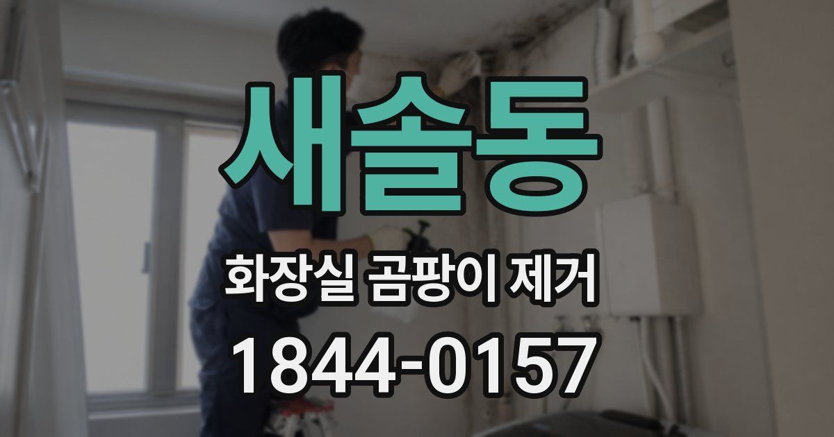 새솔동 화장실 곰팡이 제거