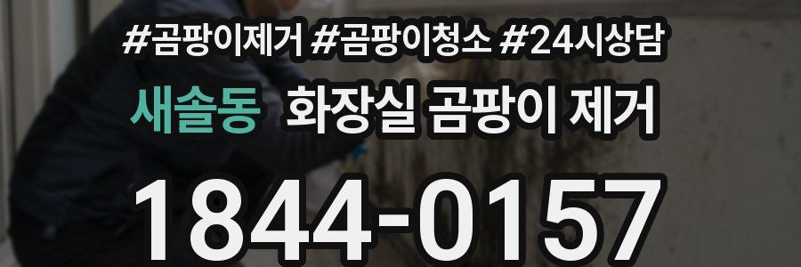 새솔동 화장실 곰팡이 제거