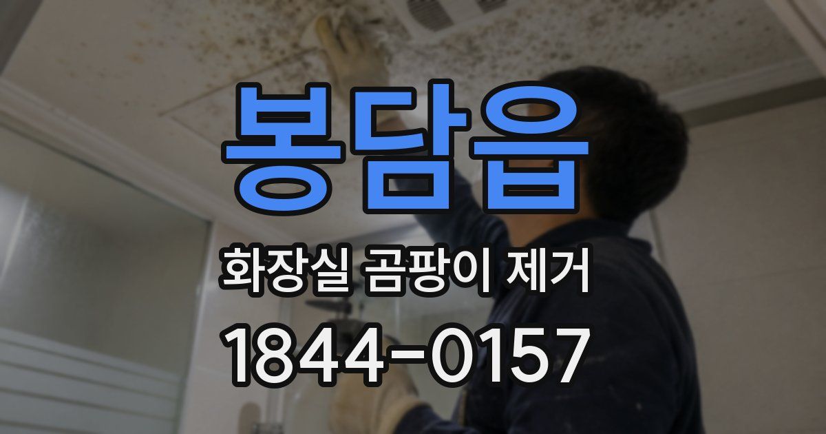 봉담읍 화장실 곰팡이 제거