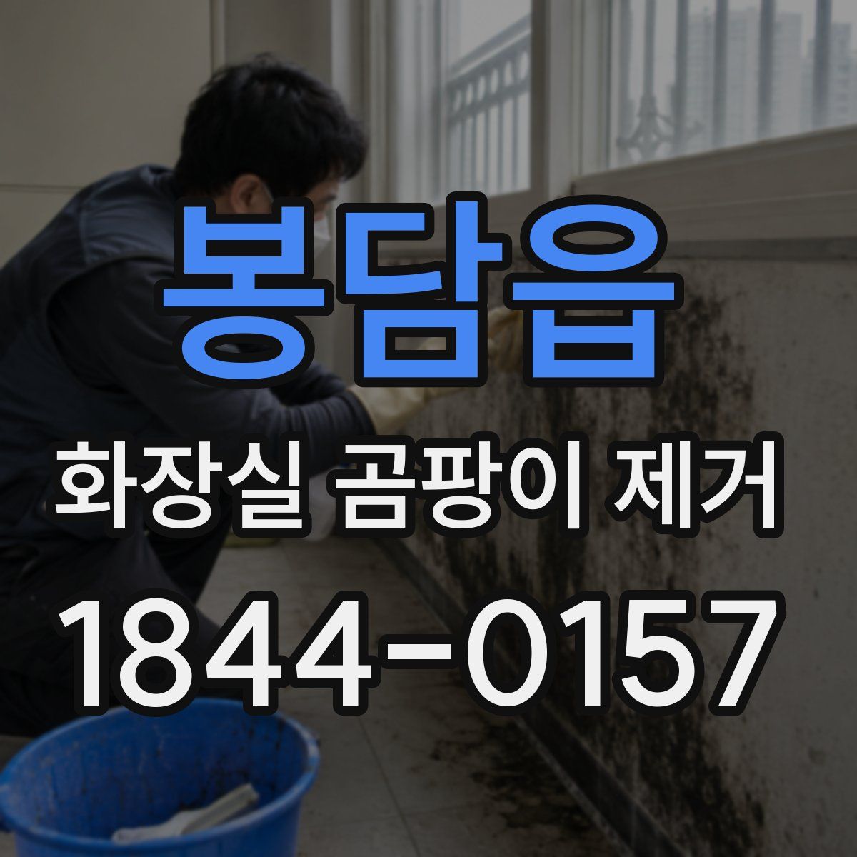 봉담읍 화장실 곰팡이 제거