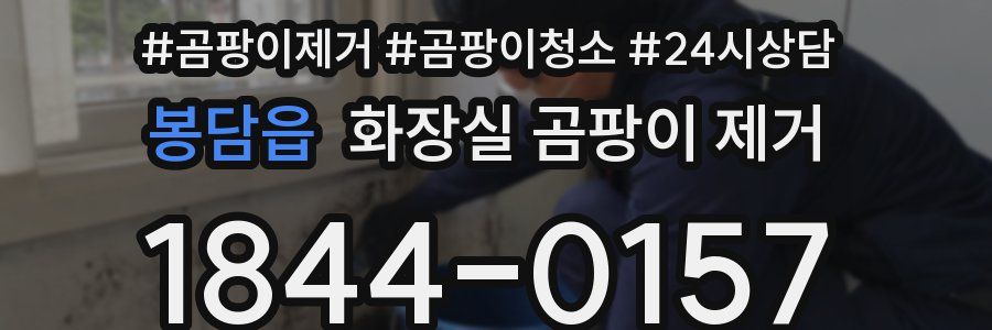 봉담읍 화장실 곰팡이 제거