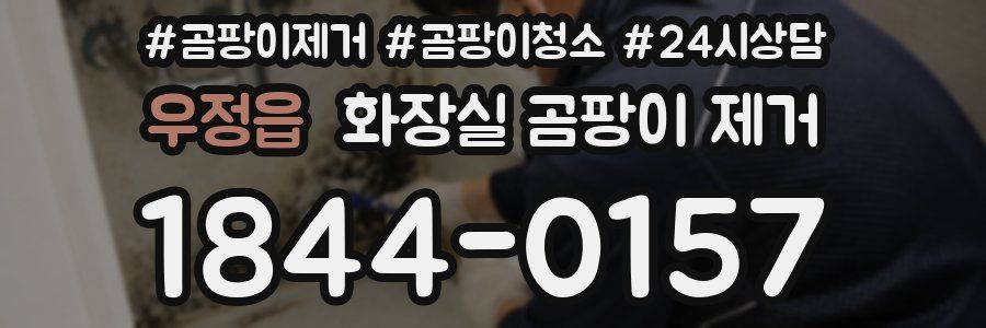 우정읍 화장실 곰팡이 제거