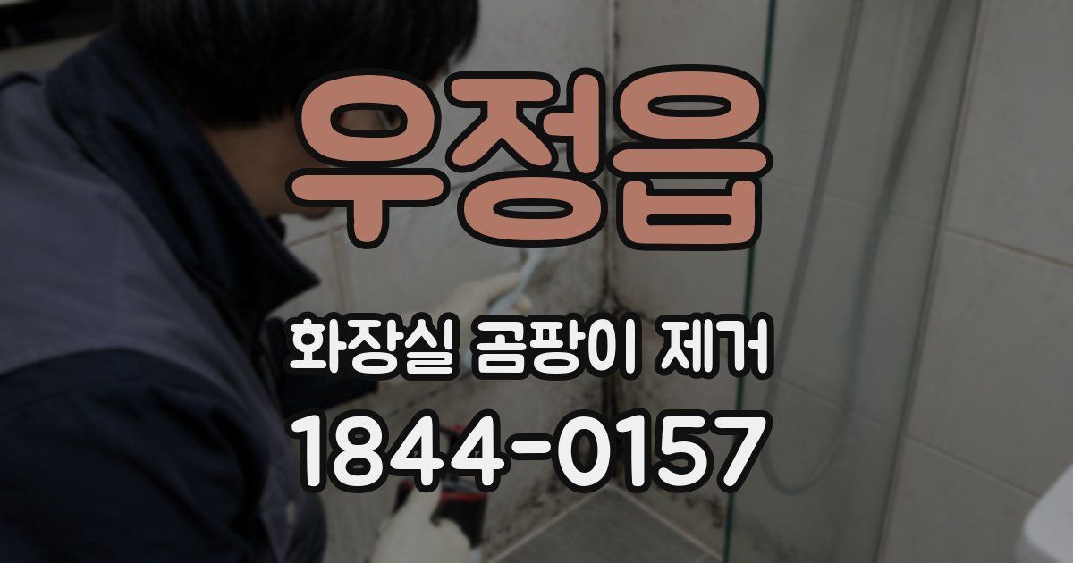 우정읍 화장실 곰팡이 제거