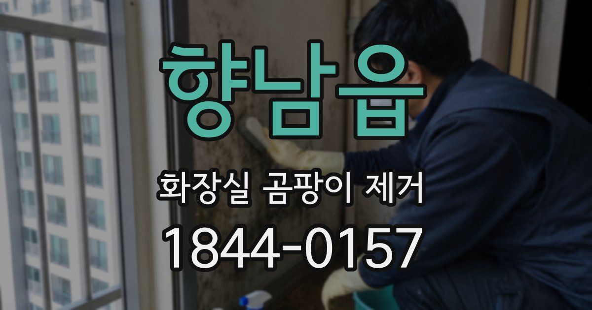향남읍 화장실 곰팡이 제거