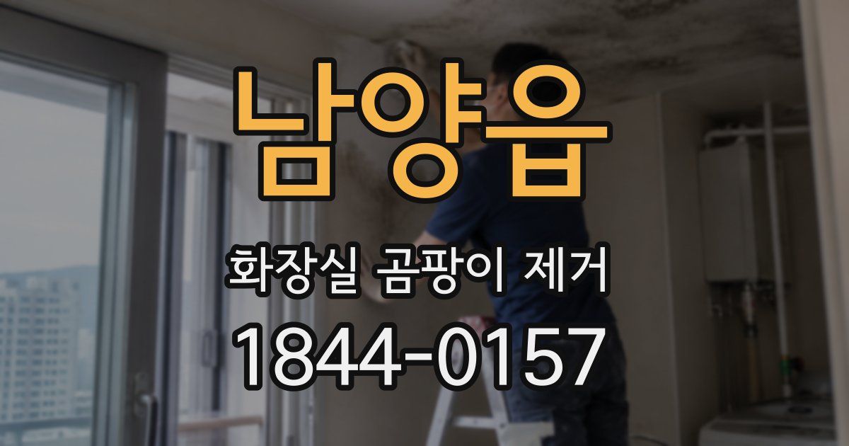남양읍 화장실 곰팡이 제거