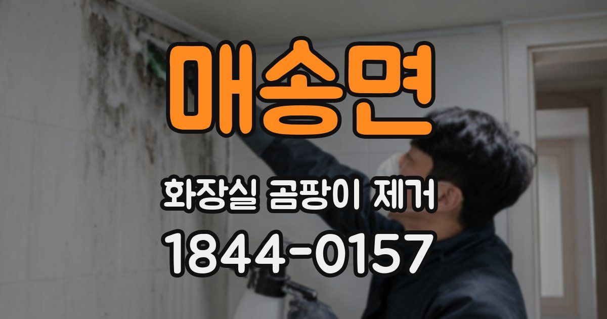 매송면 화장실 곰팡이 제거