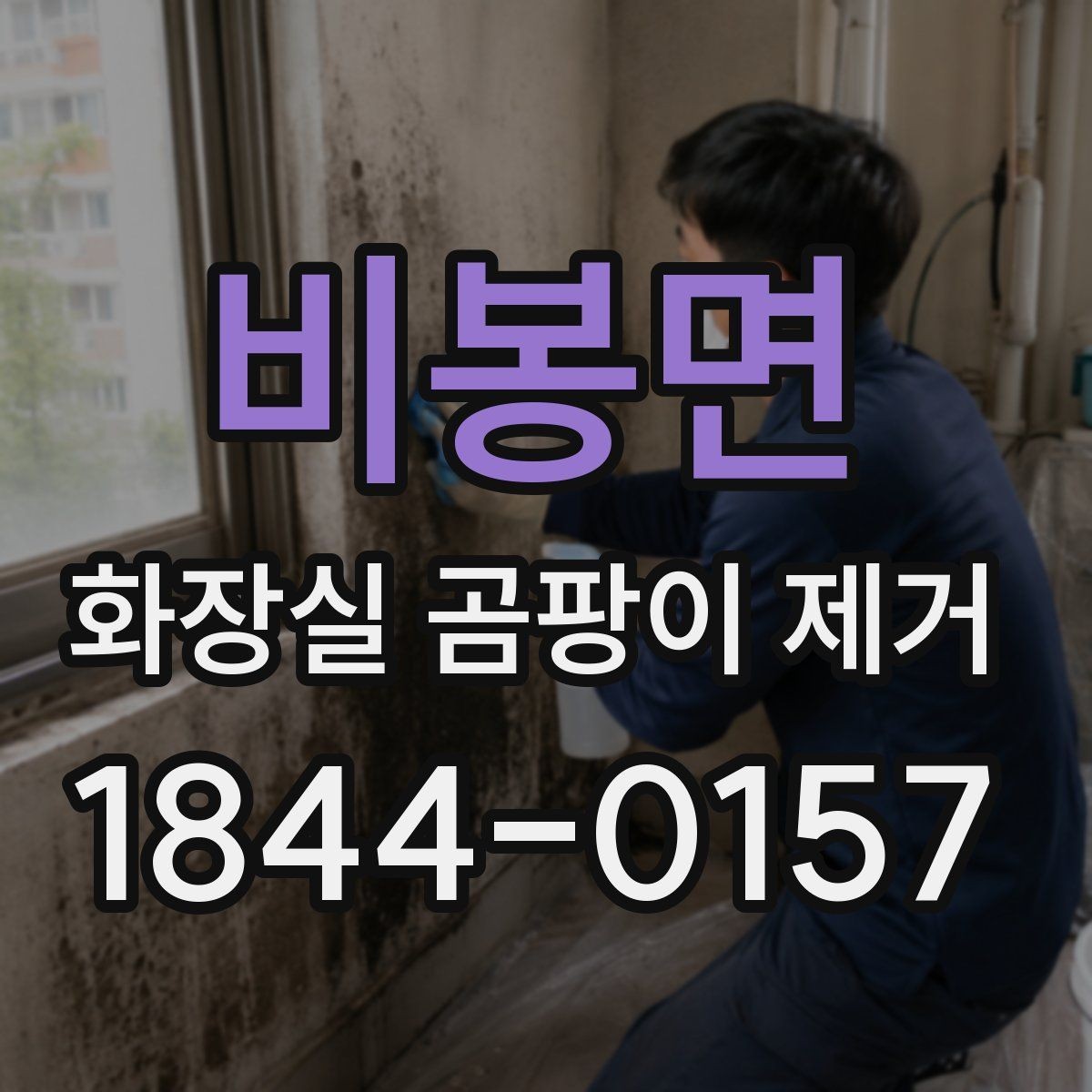 비봉면 화장실 곰팡이 제거 환기 부족이 남기는 흔적과 대처 방법