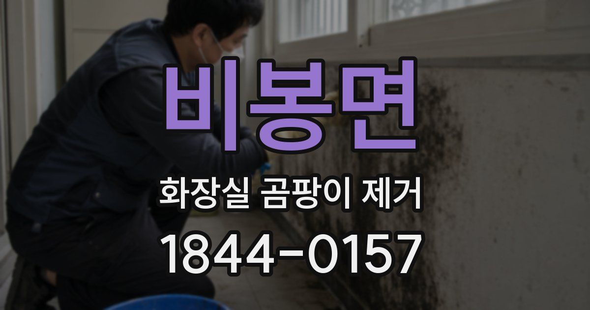 비봉면 화장실 곰팡이 제거