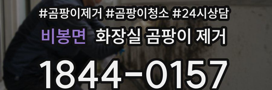 비봉면 화장실 곰팡이 제거