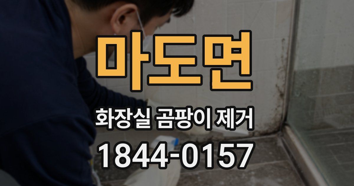 마도면 화장실 곰팡이 제거