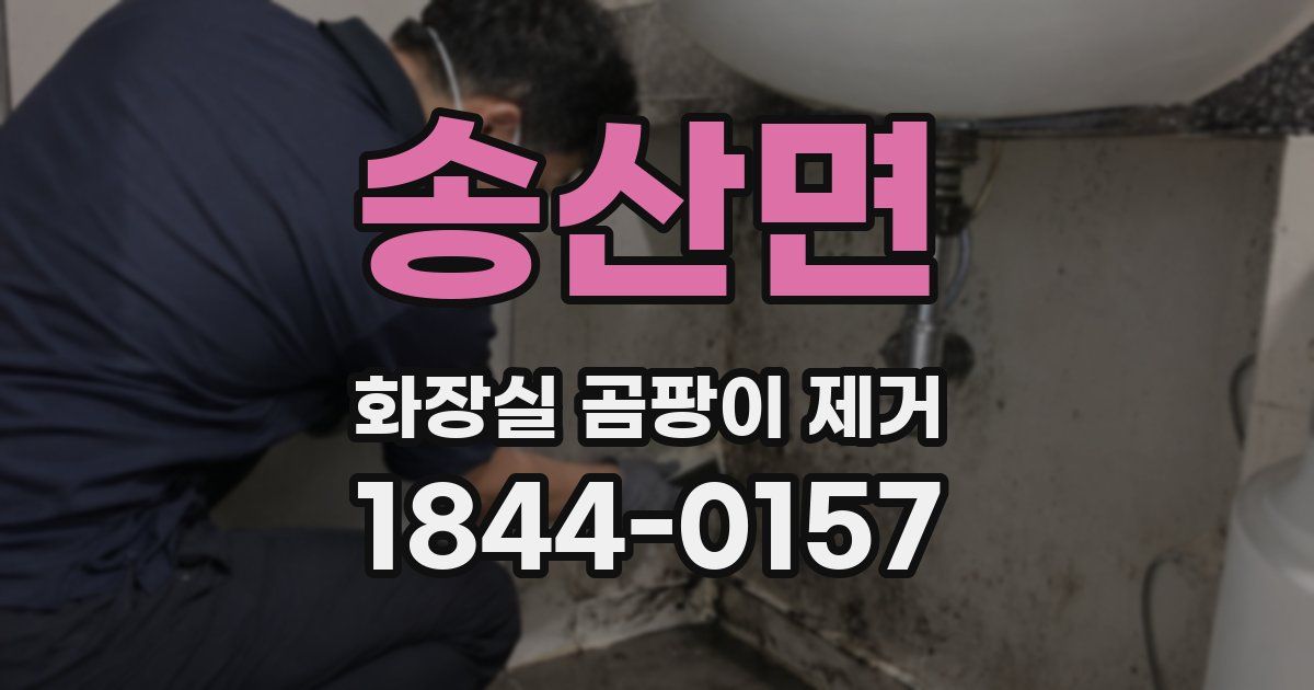 송산면 화장실 곰팡이 제거