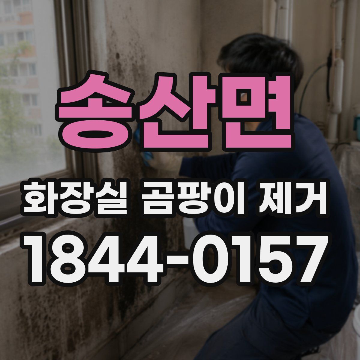 송산면 화장실 곰팡이 제거