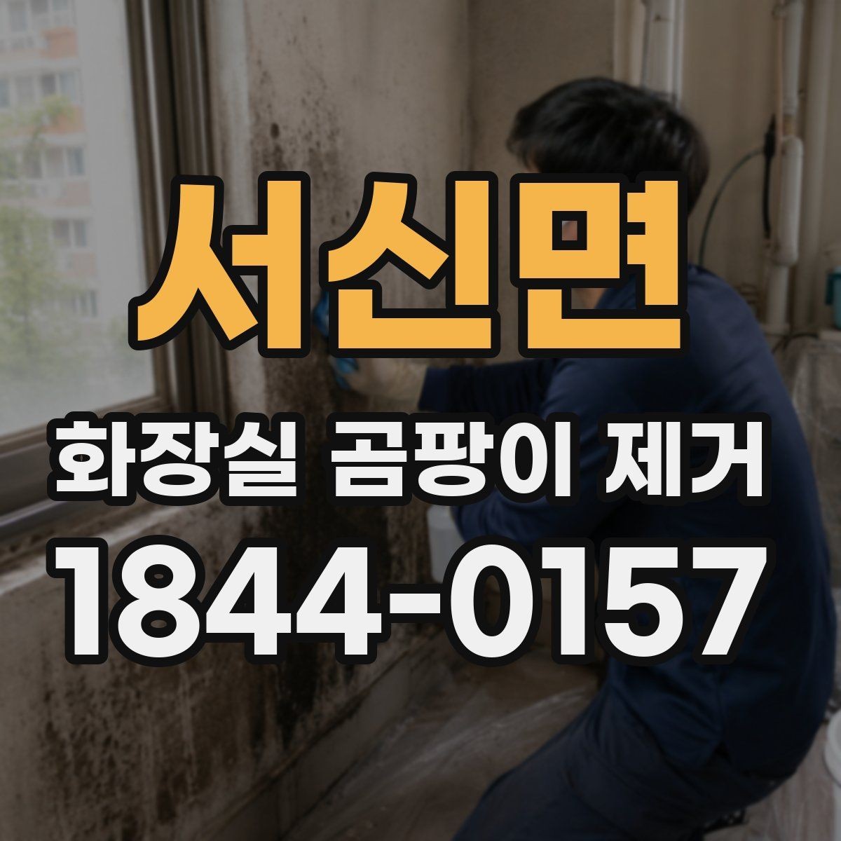 서신면 화장실 곰팡이 제거 벽 타일과 바닥재별 닦는 요령 차이