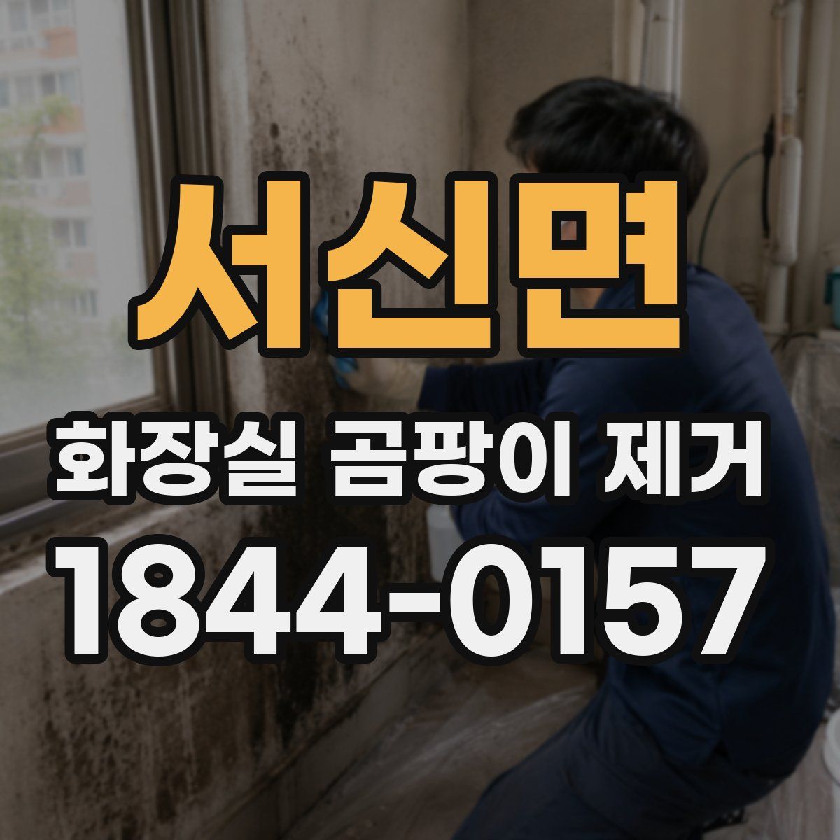 서신면 화장실 곰팡이 제거