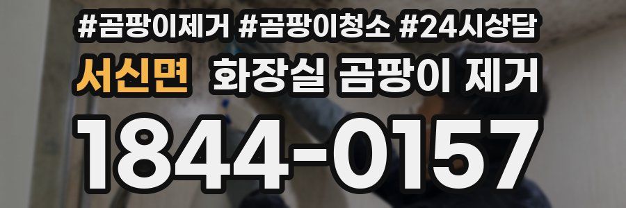 서신면 화장실 곰팡이 제거