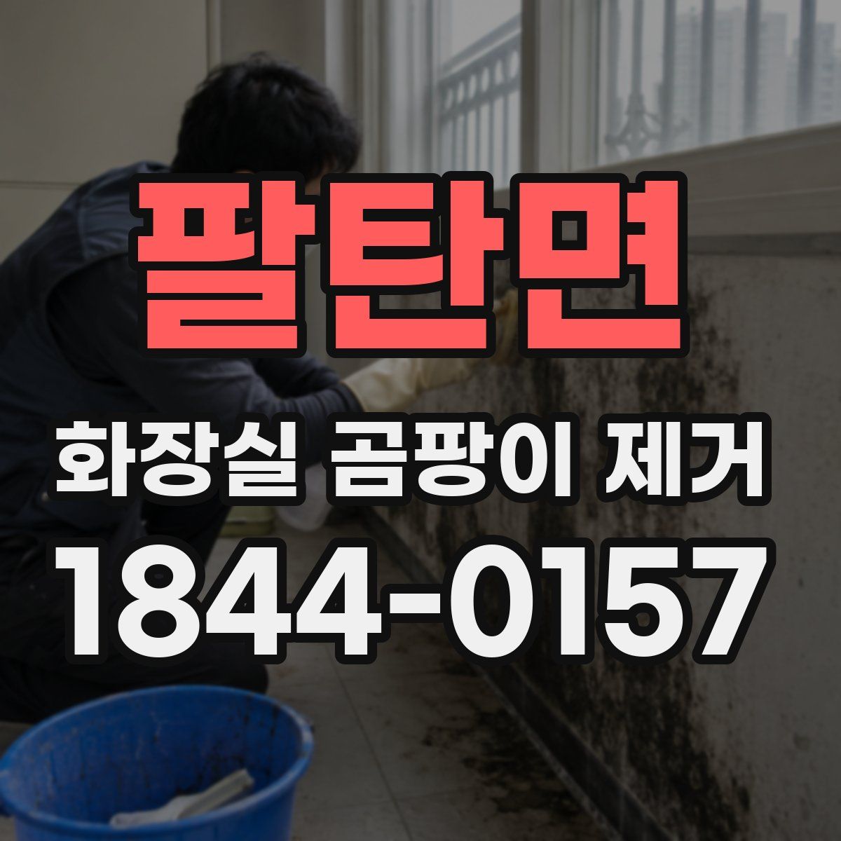 팔탄면 화장실 곰팡이 제거