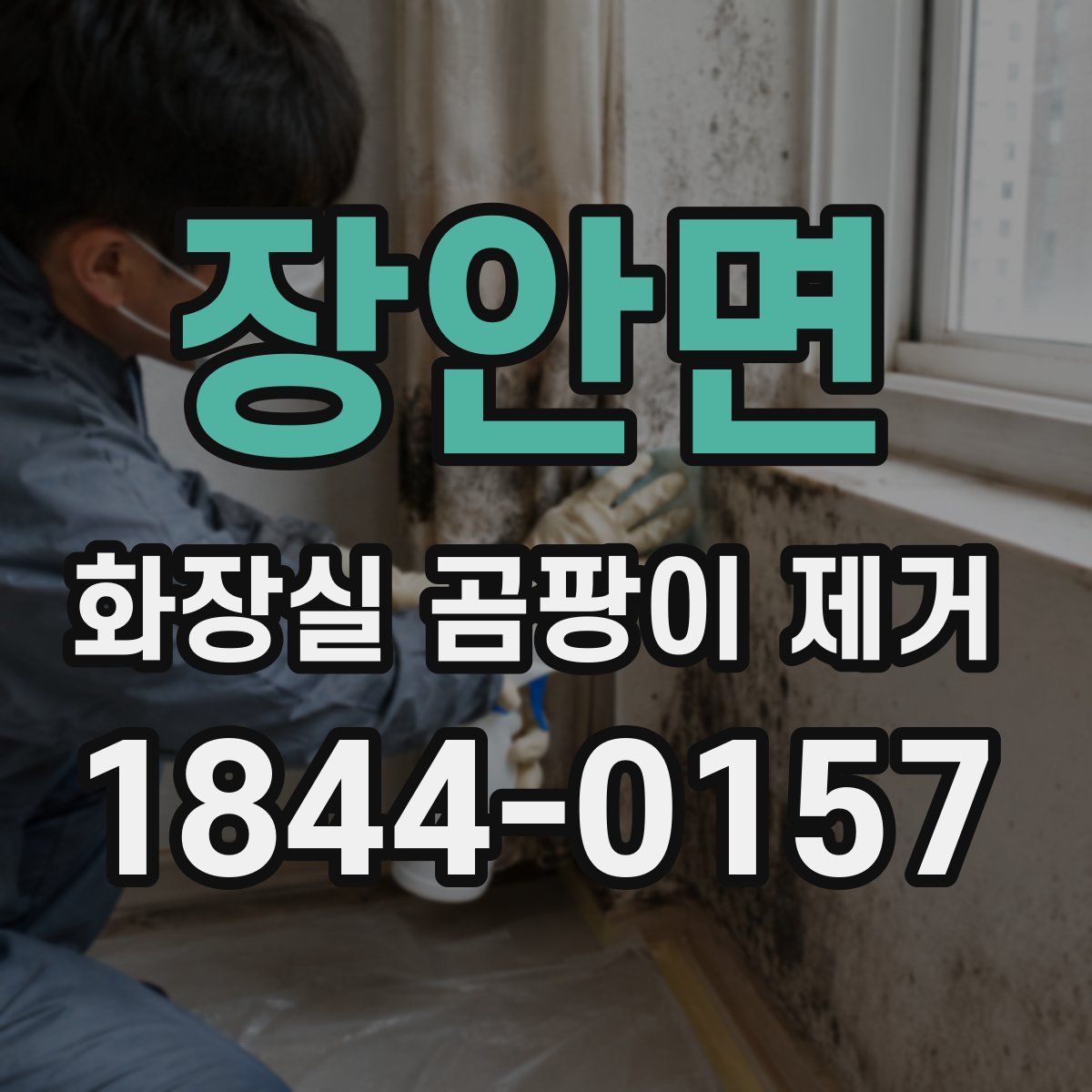 장안면 화장실 곰팡이 제거