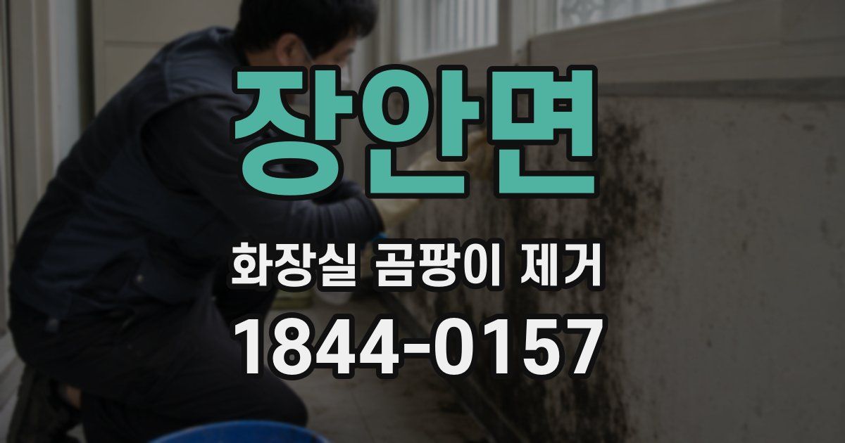 장안면 화장실 곰팡이 제거