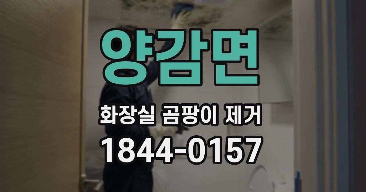 양감면 화장실 곰팡이 제거