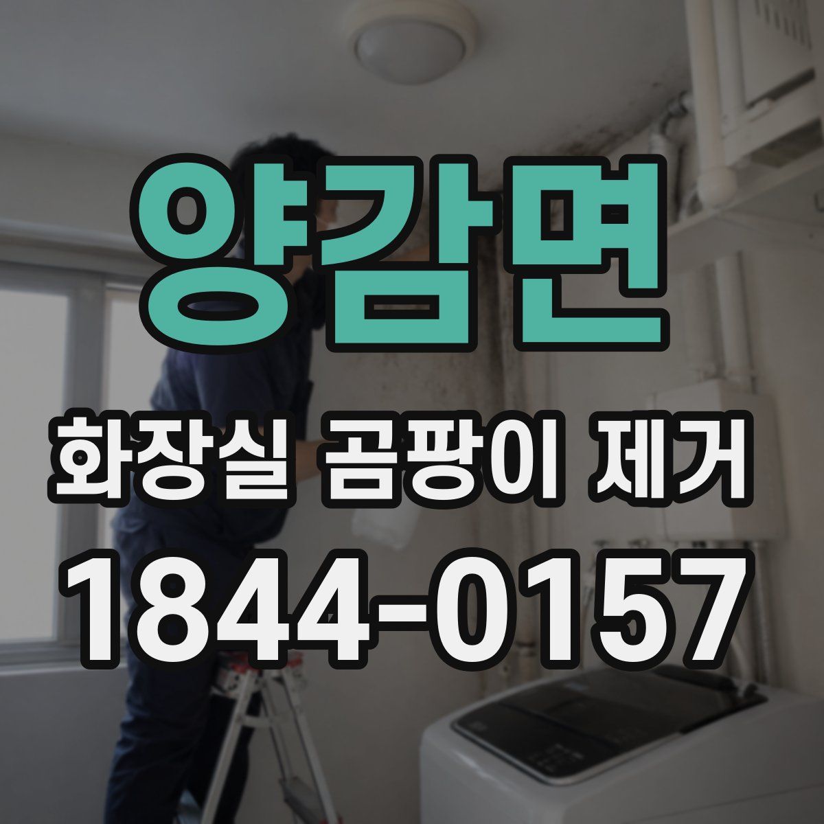 양감면 화장실 곰팡이 제거