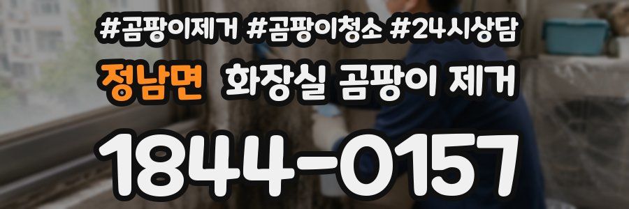 정남면 화장실 곰팡이 제거
