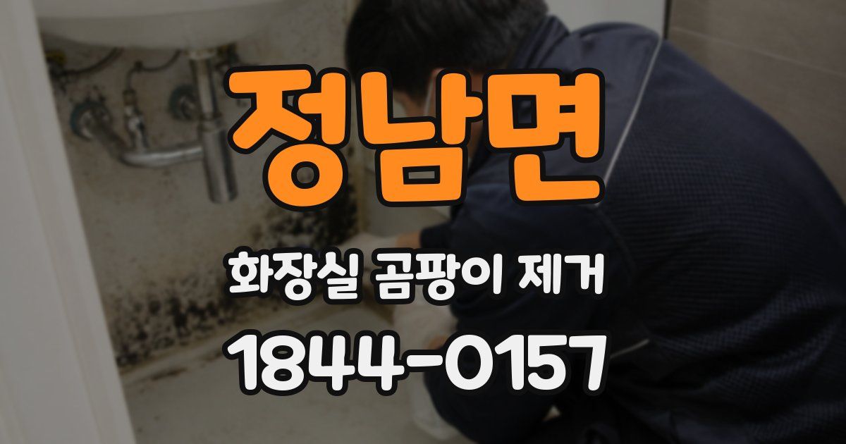 정남면 화장실 곰팡이 제거