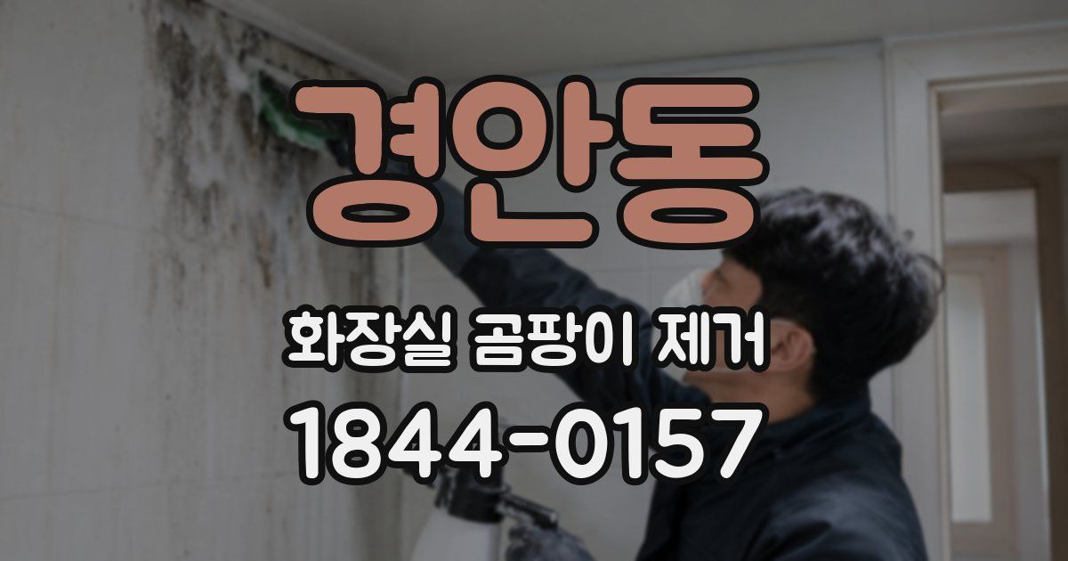 경안동 화장실 곰팡이 제거