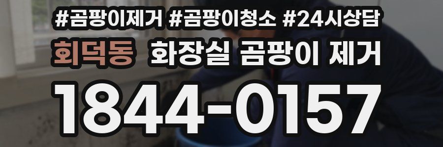 회덕동 화장실 곰팡이 제거
