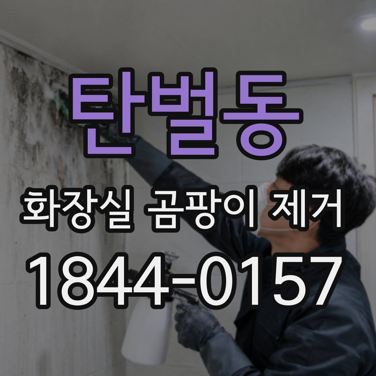 탄벌동 화장실 곰팡이 제거