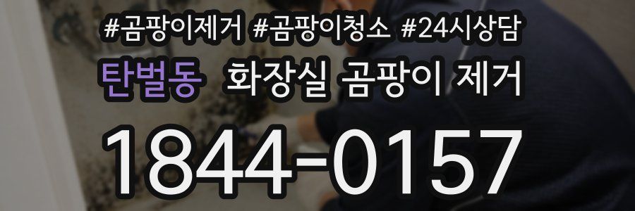 탄벌동 화장실 곰팡이 제거