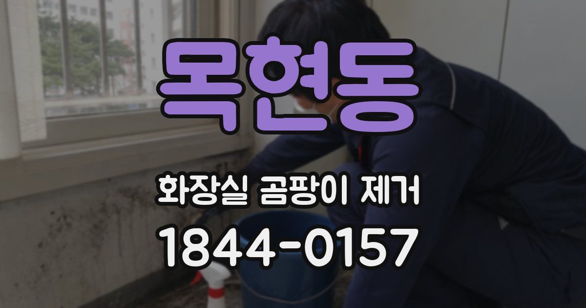 목현동 화장실 곰팡이 제거