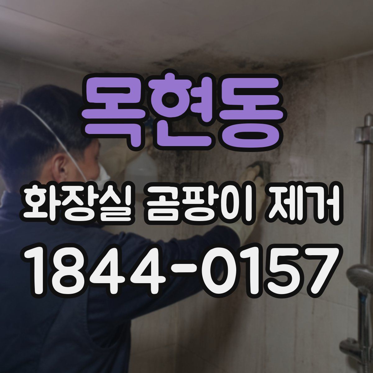 목현동 화장실 곰팡이 제거