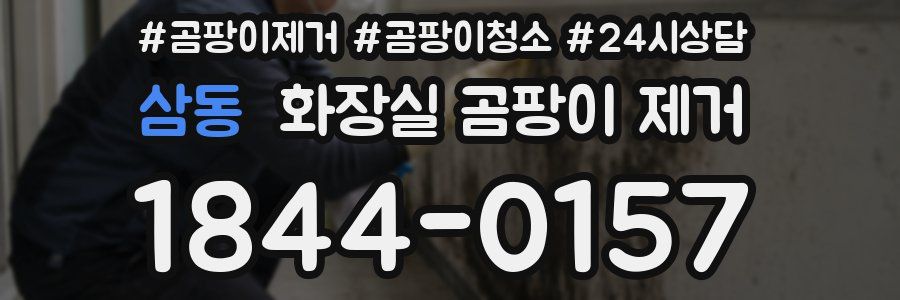 삼동 화장실 곰팡이 제거