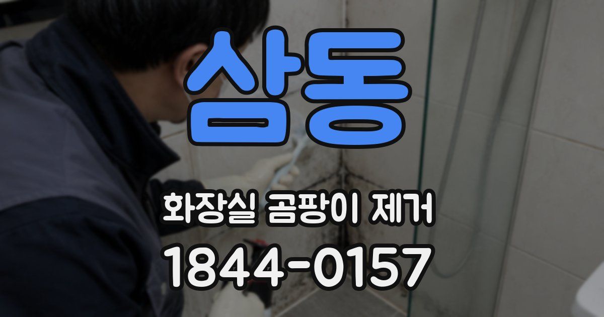 삼동 화장실 곰팡이 제거