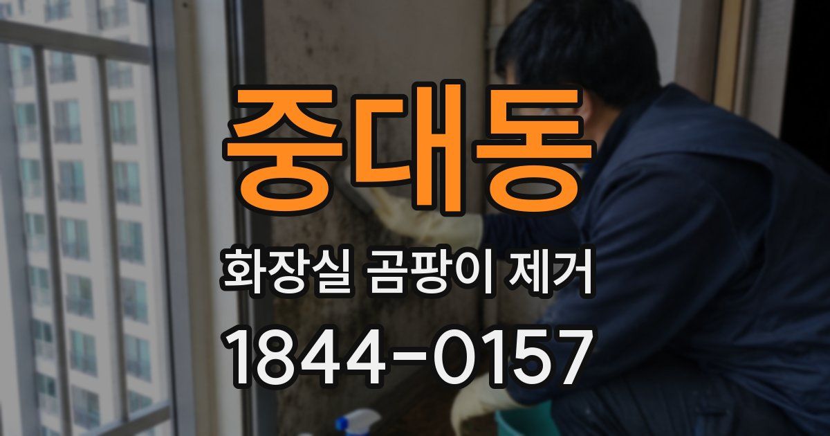 중대동 화장실 곰팡이 제거
