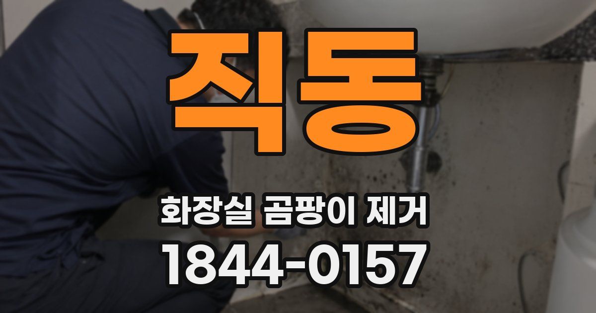 직동 화장실 곰팡이 제거