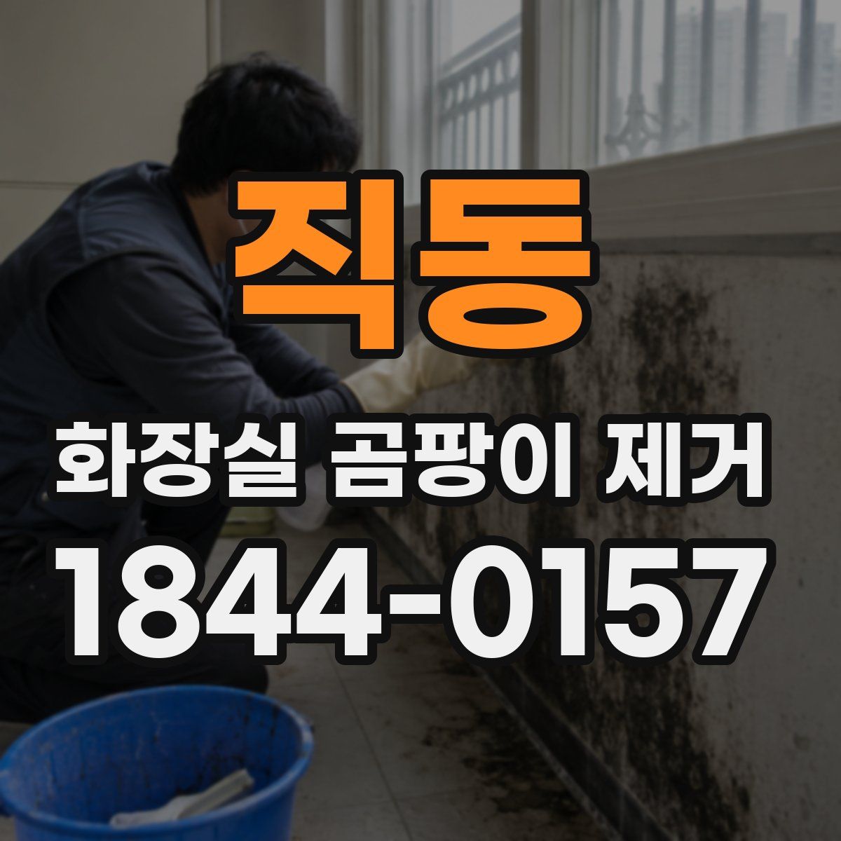 직동 화장실 곰팡이 제거