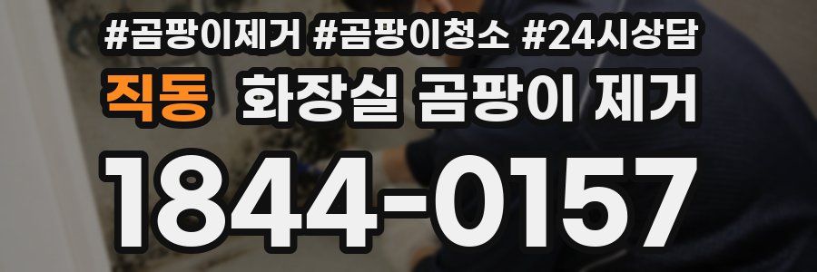 직동 화장실 곰팡이 제거